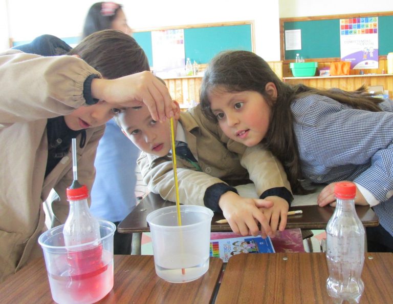 Comienzan visitas a talleres Tus Competencias en Ciencias de La Araucanía