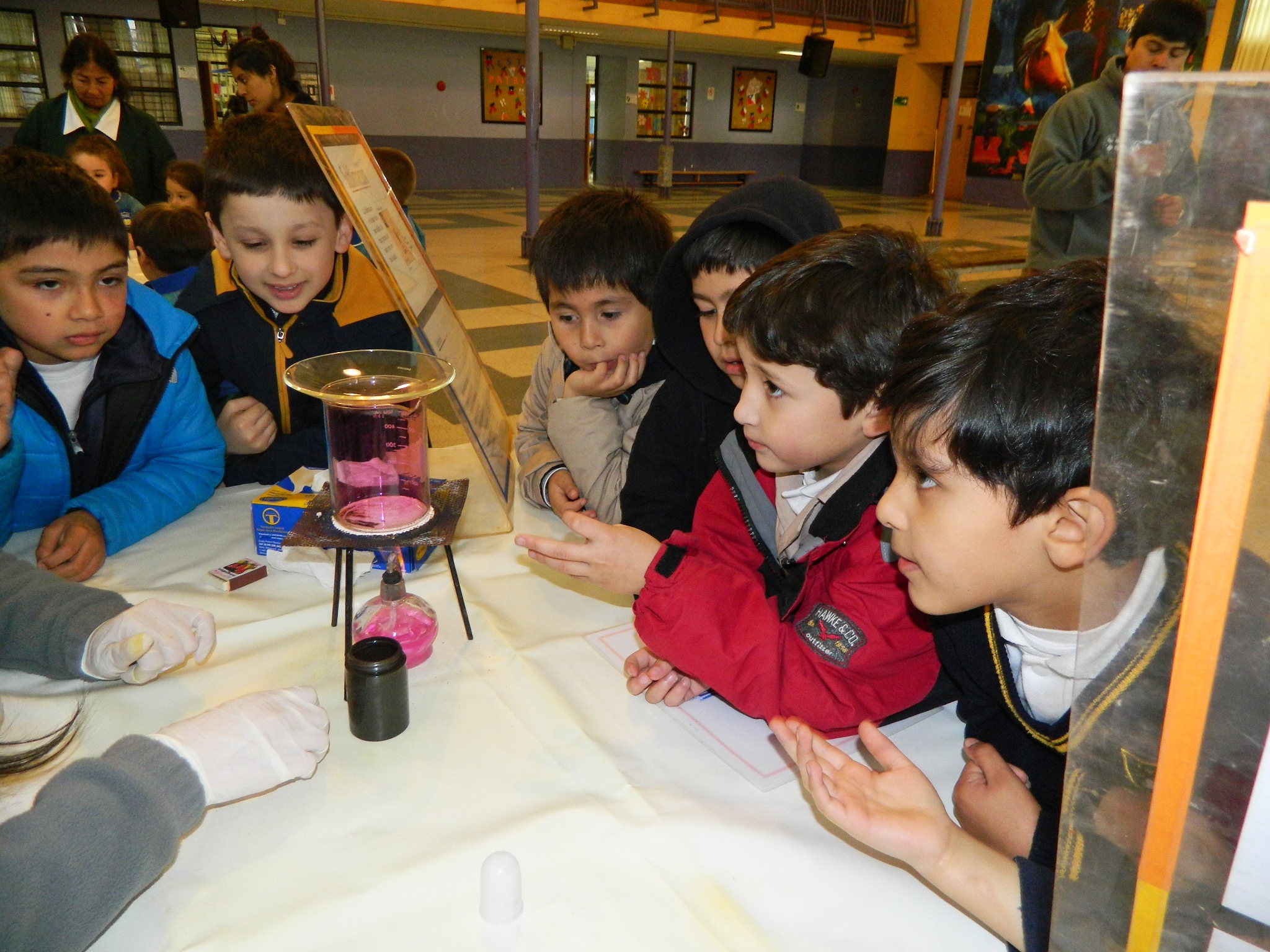 Más de 600 escolares de Lautaro y Temuco aprenden con la Ciencia Itinerante
