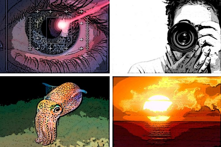 ¡Muestra todo tu talento en el concurso de dibujo “Préndete y colorea”!