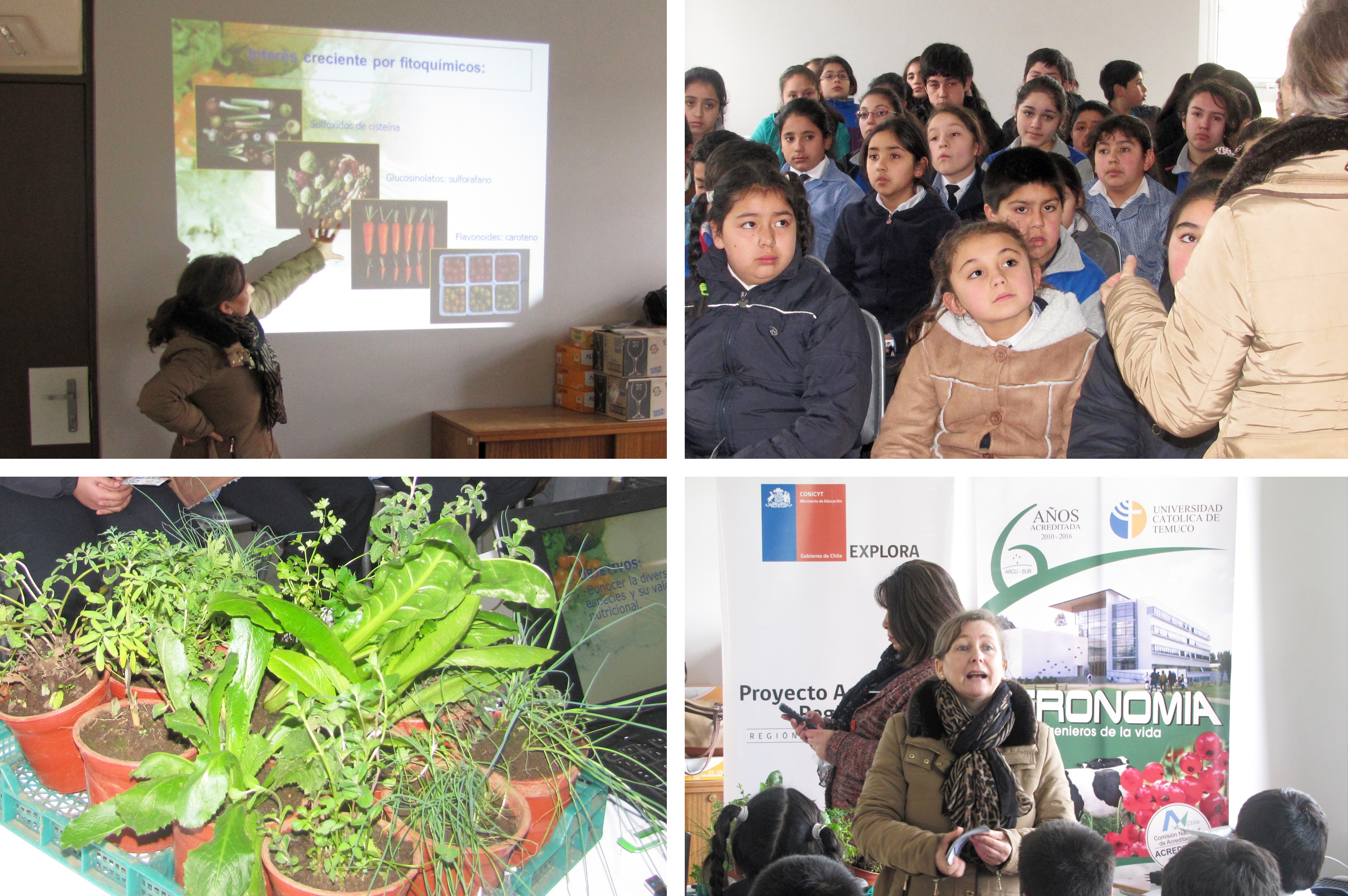 Académica destacó la importancia del consumo y cultivo de hortalizas