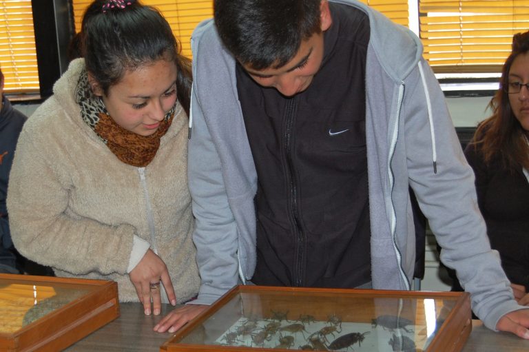 Casa Abierta INIA CARILLANCA recibió a  un centenar de estudiantes en sus laboratorios