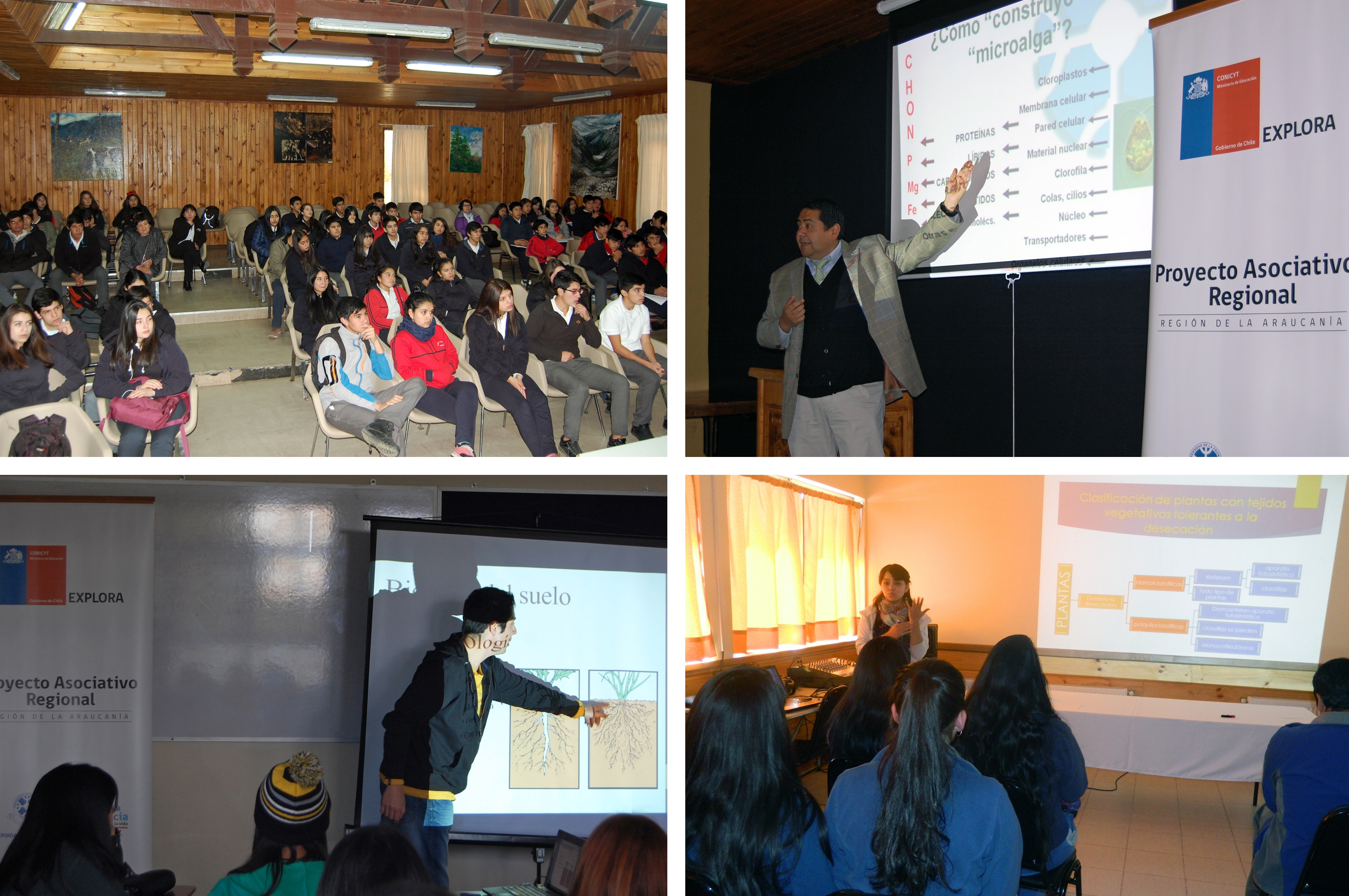 Potencialidades del suelo, helechos películas y microalgas conocieron estudiantes en Ciclo de Charlas