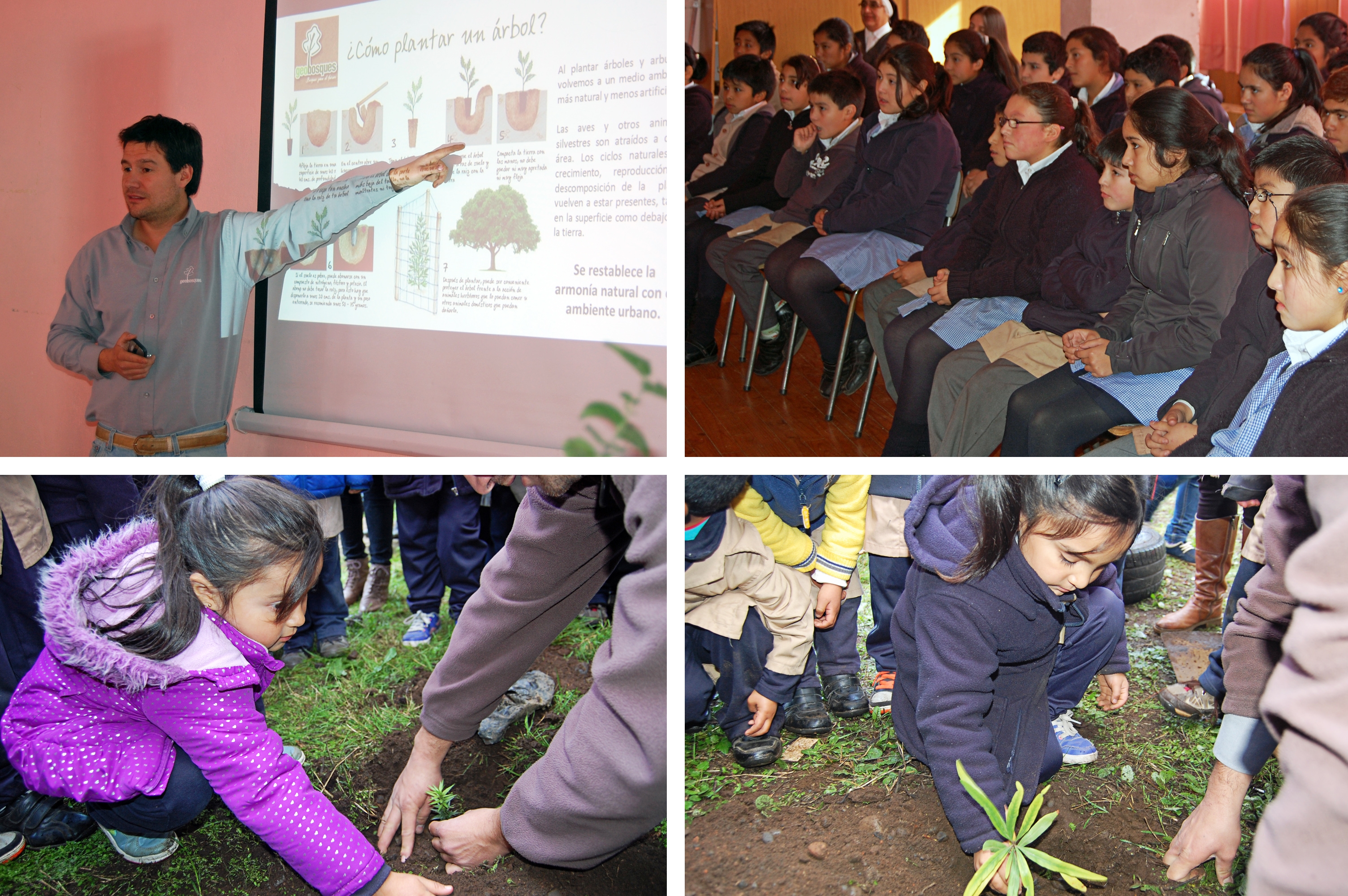 Niños y niñas de Boroa aprenden la importancia de los árboles plantando araucarias y notros