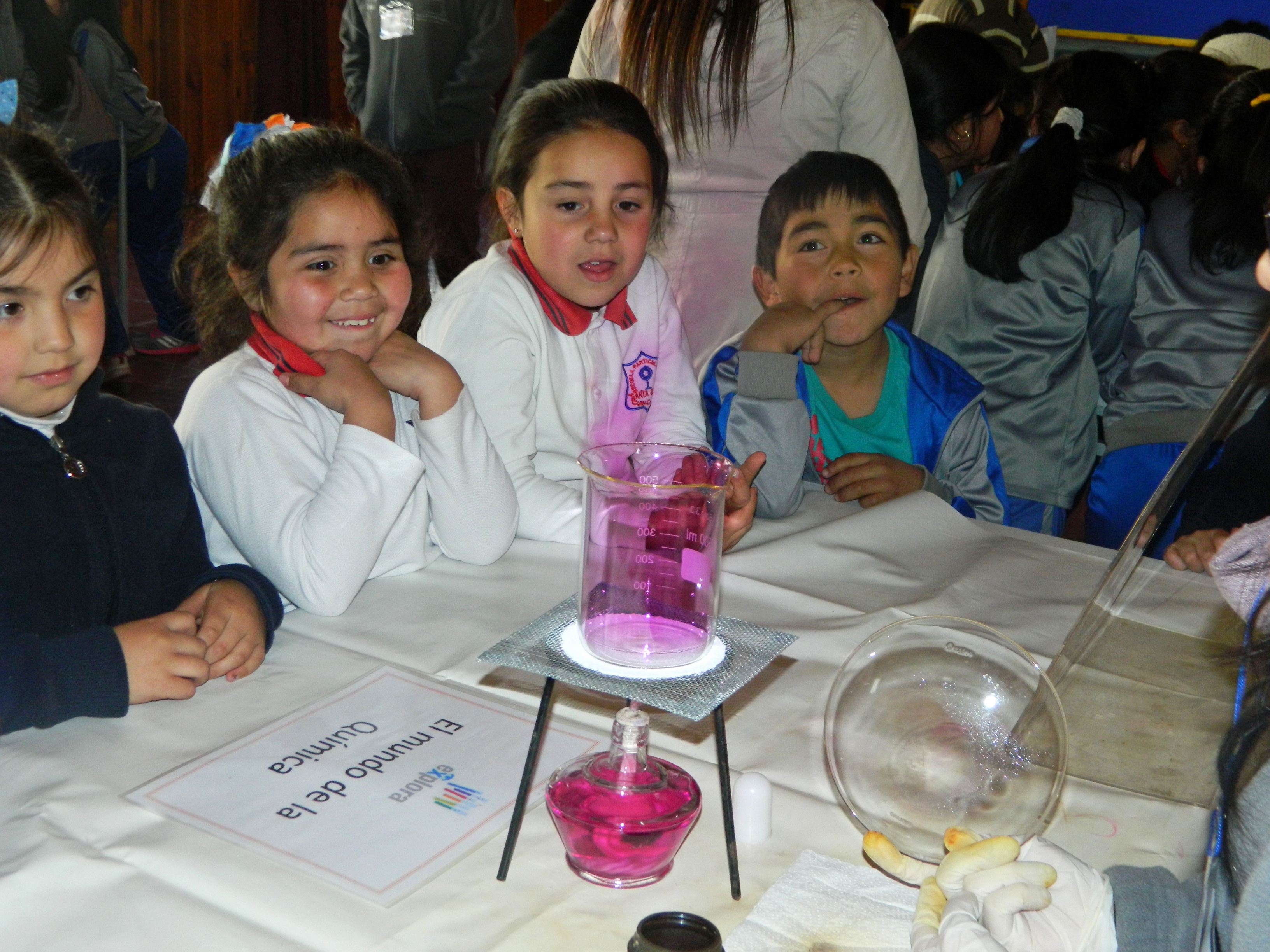 La Escuela Santa Elena de Curacautín recibe la visita de la Ciencia Itinerante