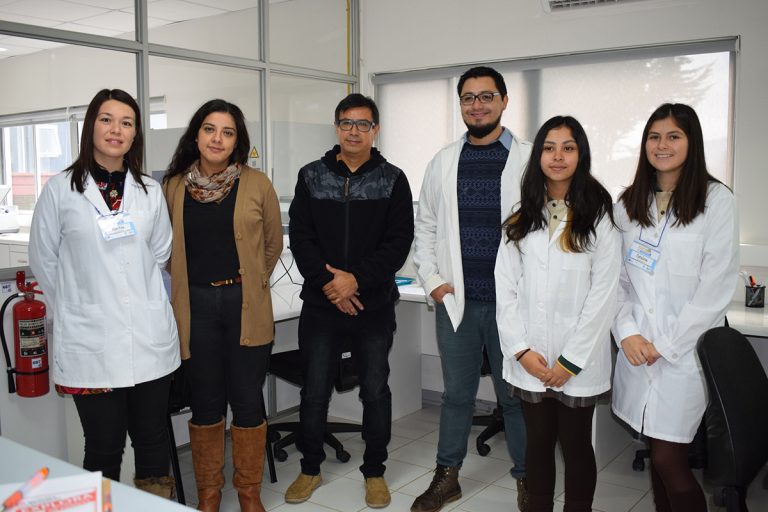 De manera exitosa jóvenes de La Araucanía comienzan sus Pasantías de Investigación