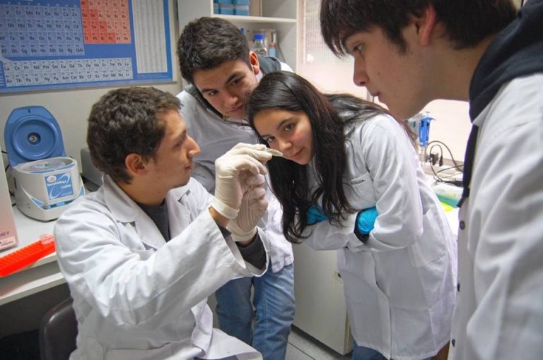 Estudiantes de La Araucanía se transforman en científicos por un día