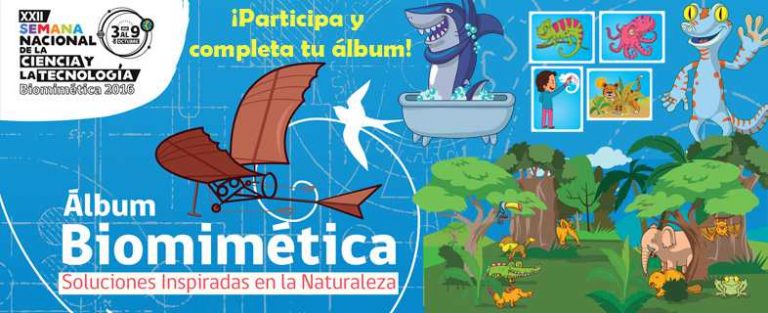 PAR Explora de CONICYT La Araucanía ya cuenta con ganadores para el álbum de la Biomimética