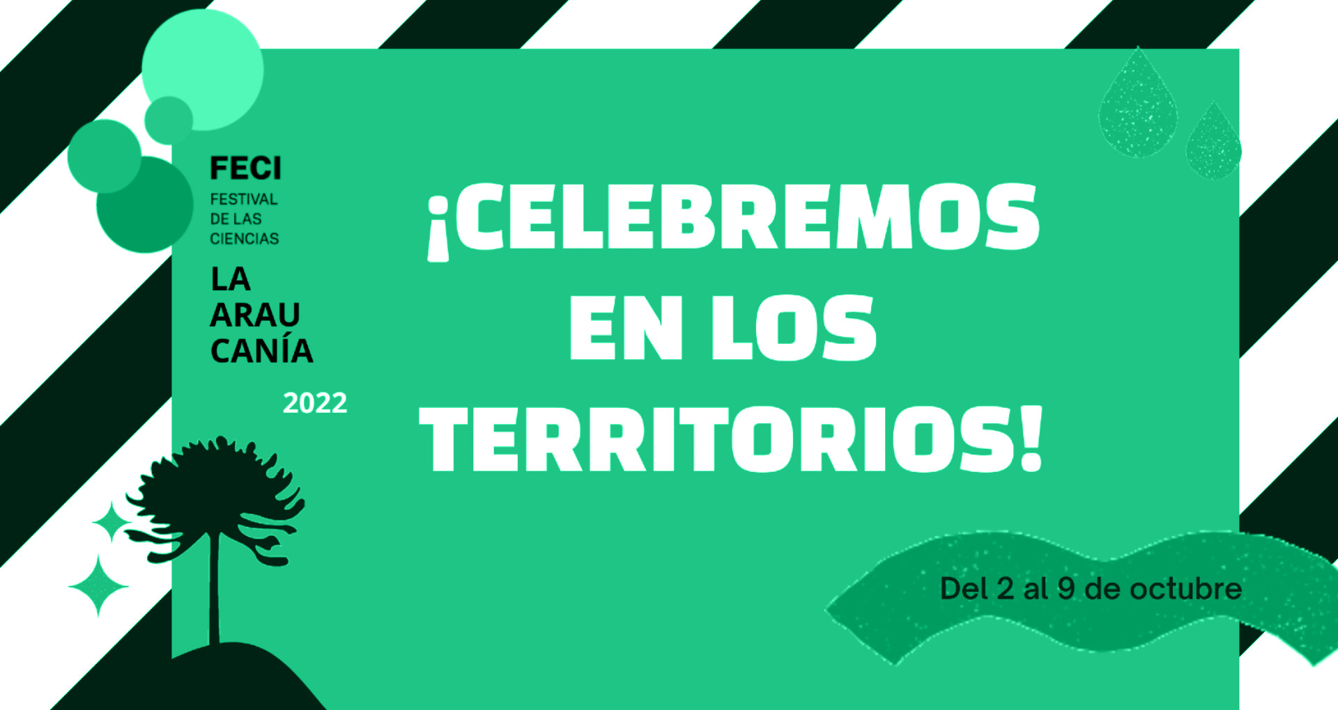 FECI, Festival de las Ciencias