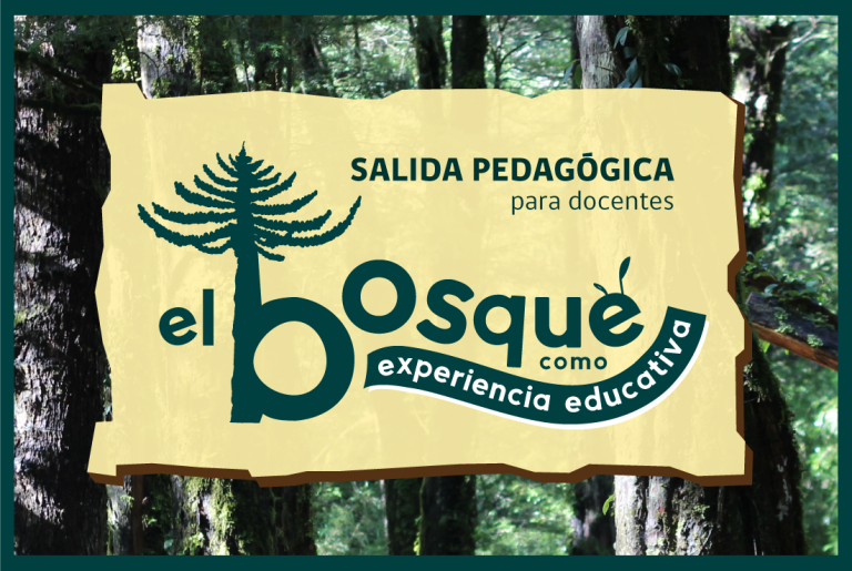 Salidas Pedagógicas: “El Bosque como Experiencia Educativa”