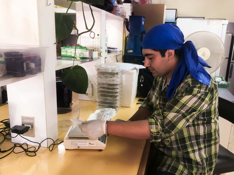 El inédito experimento de un machi que reaviva el  vínculo entre las ciencias y los saberes tradicionales