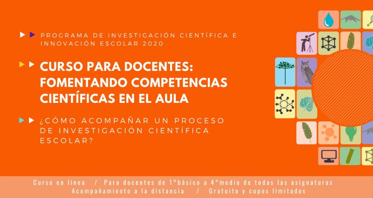 Programa IIE (ICE) 2020