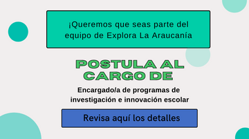 banner cargo encargado iie 2022