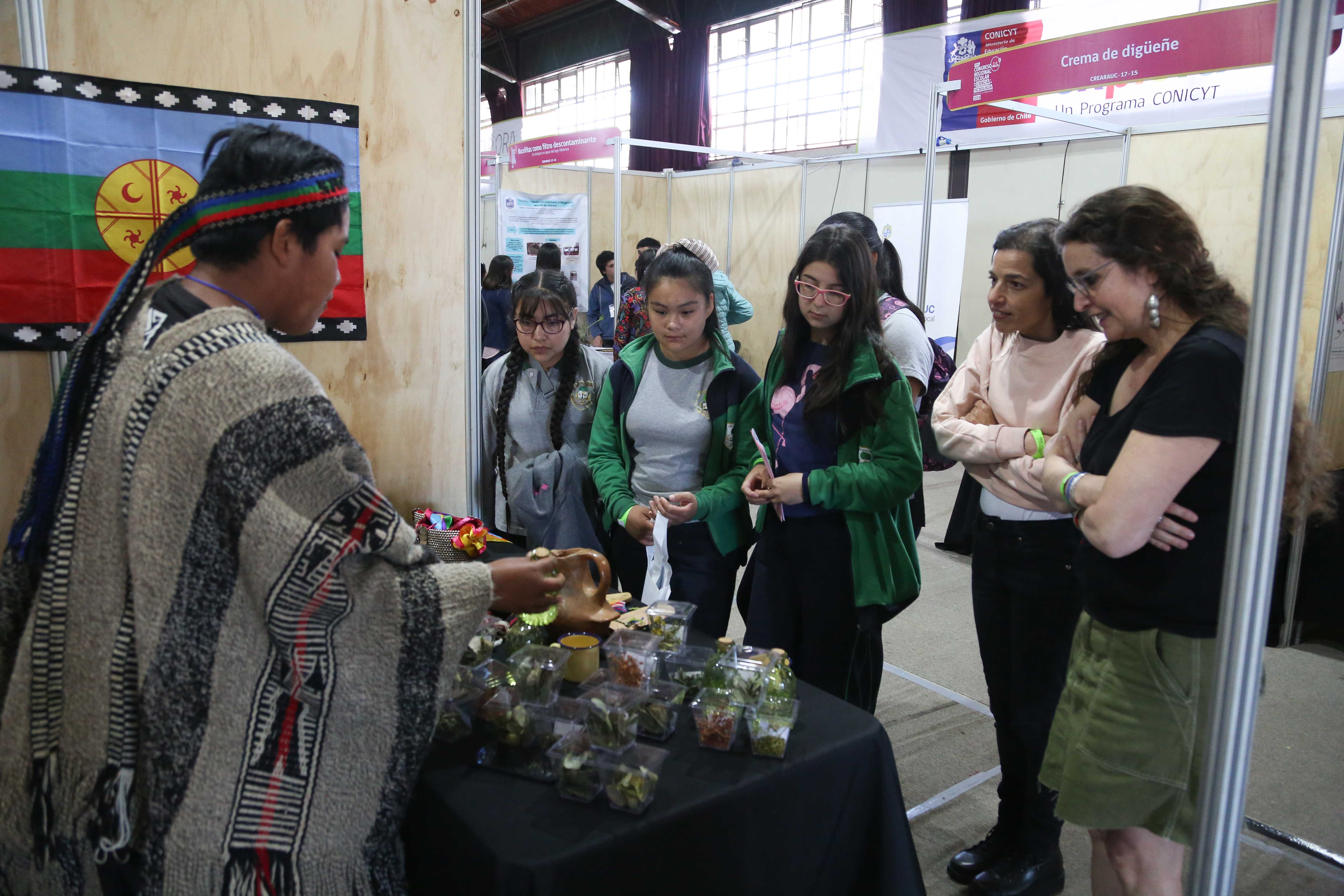 Villarrica será sede del XIX Congreso Regional de Investigación e Innovación Escolar La Araucanía