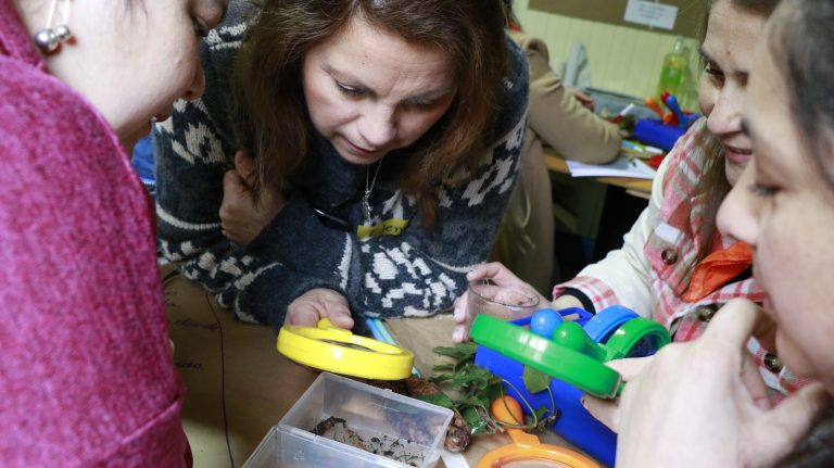 PIPE: Programa de Indagación para Primeras Edades desarrolla con éxito su primera etapa formativa con educadoras de La Araucanía