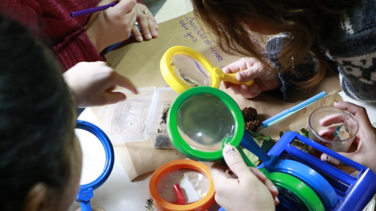 Laboratorios Vivos Explora La Araucanía