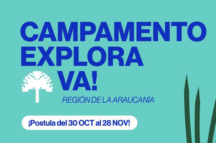 Campamento Explora VA 2026 (5–9 de enero, Puerto Saavedra)