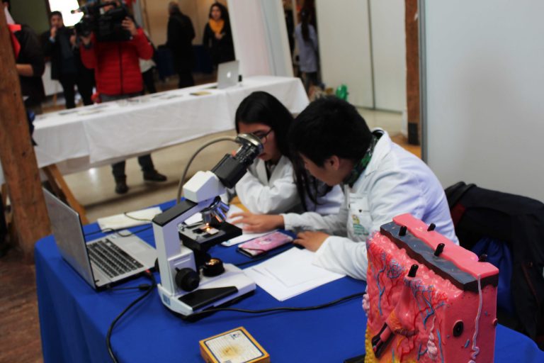 Están abiertas las postulaciones para elaborar proyectos de investigación escolar en todo Atacama