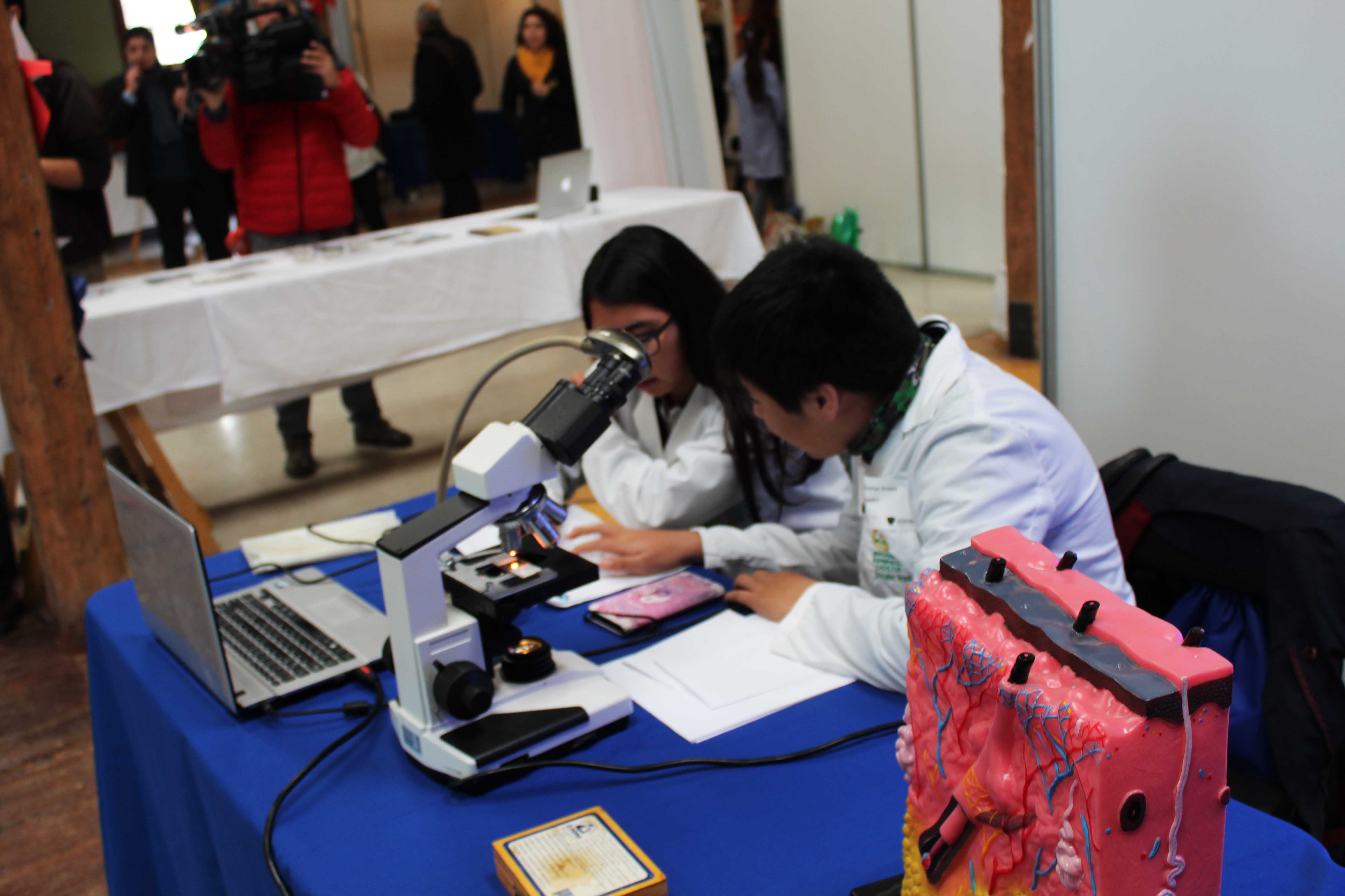 Están abiertas las postulaciones para elaborar proyectos de investigación escolar en todo Atacama