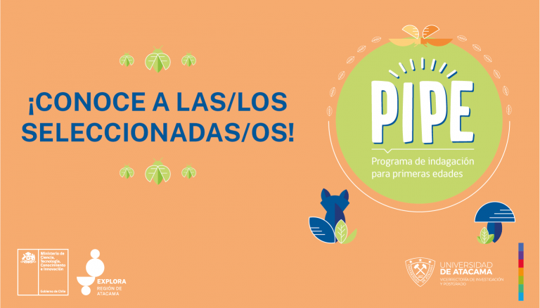 Si postulaste a PIPE: Ya tenemos la nómina de quienes se adjudicaron un cupo
