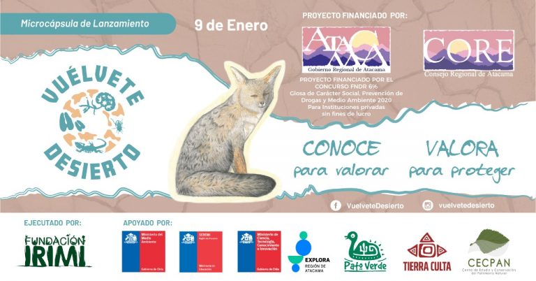 Fichas didácticas ilustradas buscan difundir y tomar conciencia de la biodiversidad de Atacama 