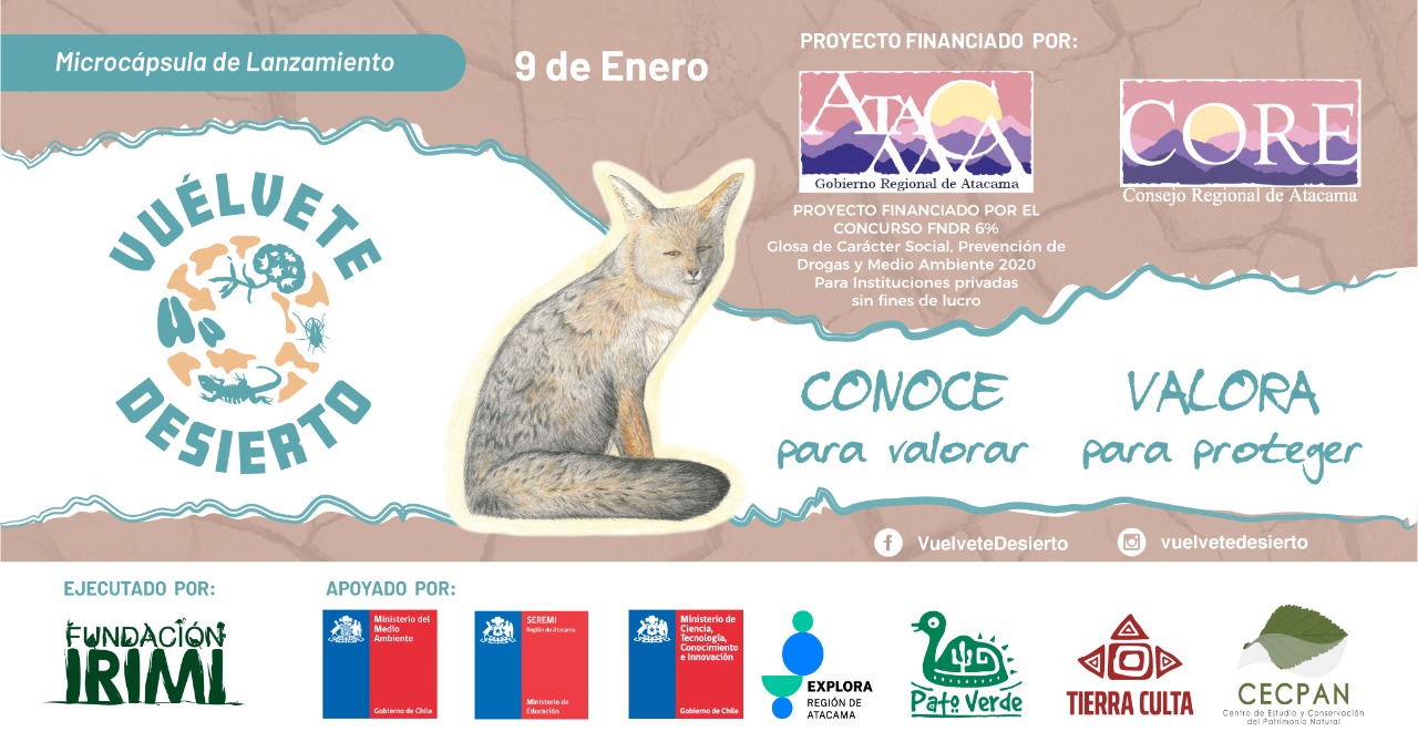 Fichas didácticas ilustradas buscan difundir y tomar conciencia de la biodiversidad de Atacama 