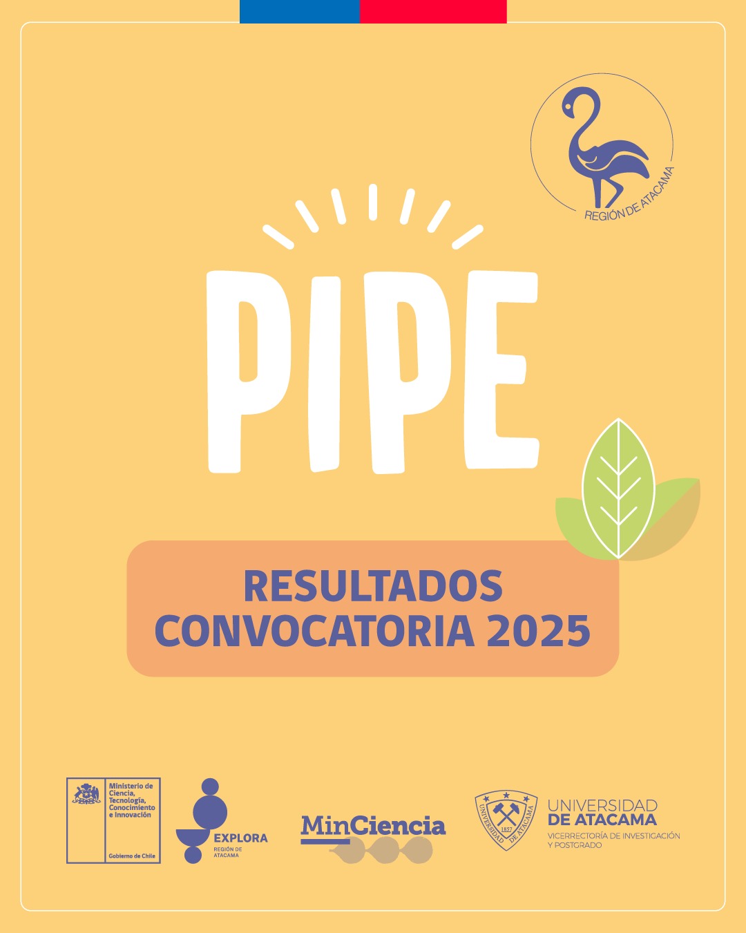 Seleccionados PIPE