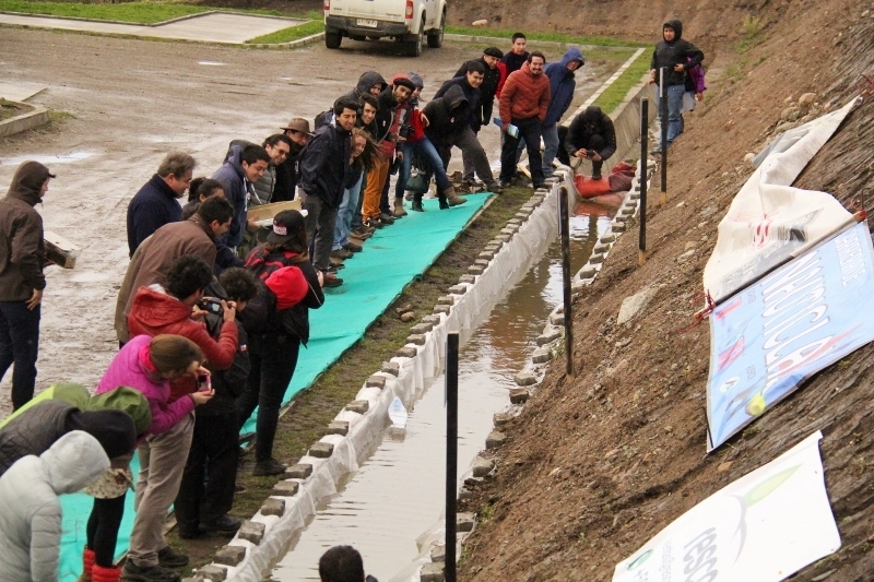 PAR EXPLORA Aysén realizó desafiante carrera náutica con embarcaciones de material reciclado.