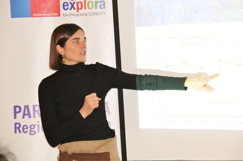 Entrevista a Dra. Frida Piper: “La economía regional se sustenta en el bosque nativo, entender hasta cuándo vamos a tener este recurso es sumamente relevante”.
