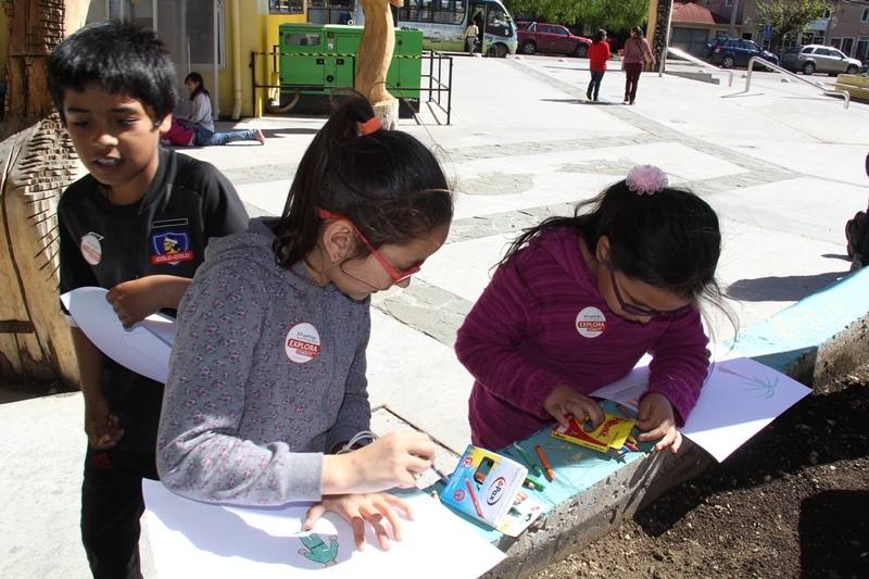 PAR Explora Aysén invita a participar en concurso fotográfico y de collages.