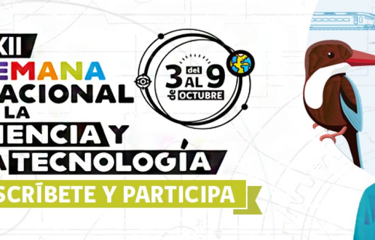 actividades-sncyt