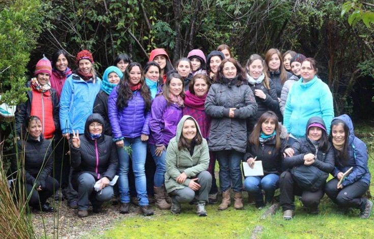 alfabetizacion01
