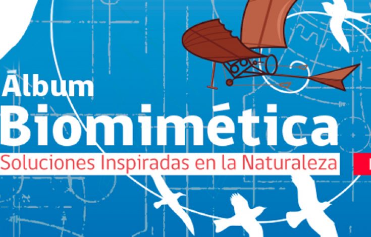 banner-biomimetica