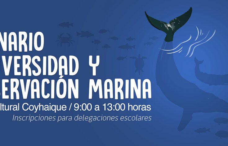 banner-seminario2017