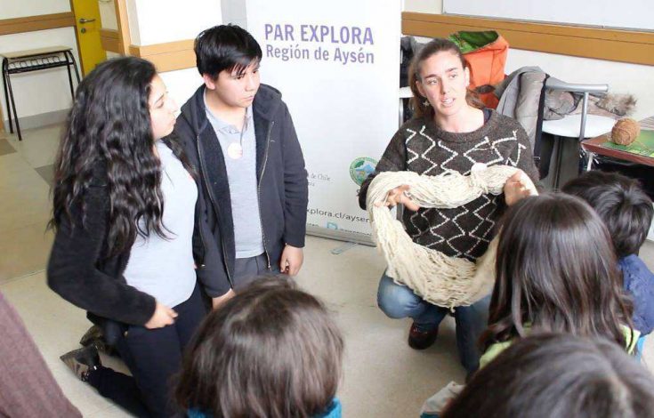 taller-tenido-flora