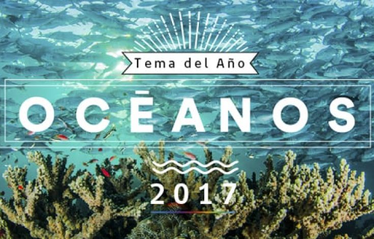 tema-ano-2017