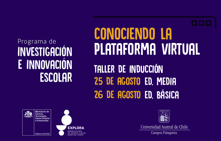 Conociendo la plataforma virtual IIE 2020
