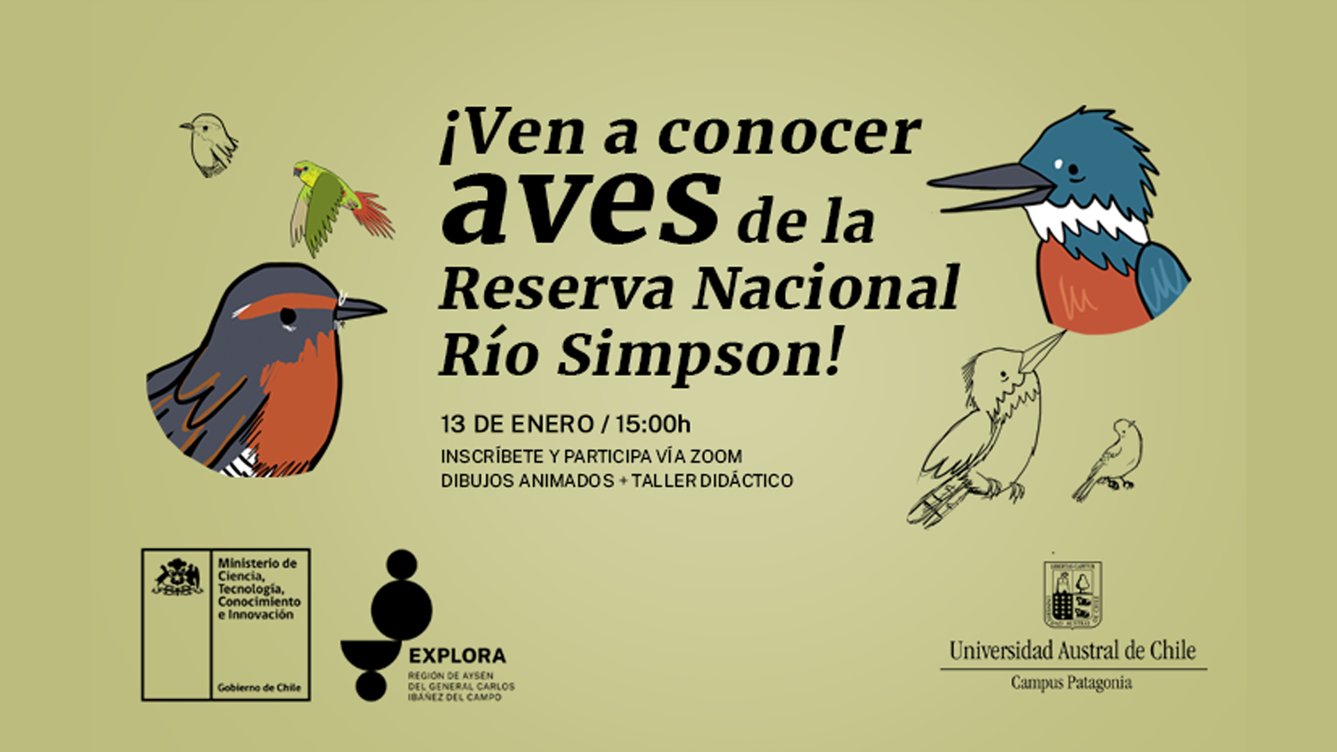 Taller didáctico para niños/as: ¡Ven a conocer aves de la Reserva Nacional Río Simpson!