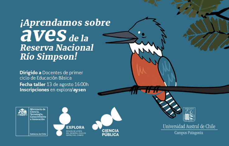 Proyecto Explora Aysén abre inscripciones para taller sobre aves de la Reserva Nacional Río Simpson dirigido a docentes de educación básica