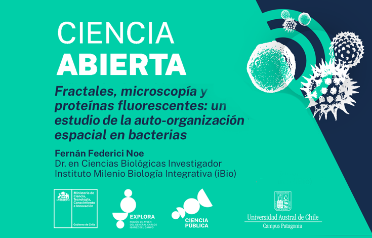 Ciencia Abierta de Explora Aysén invita conocer sobre fractales en bacterias a través de la microscopía y proteínas fluorescentes