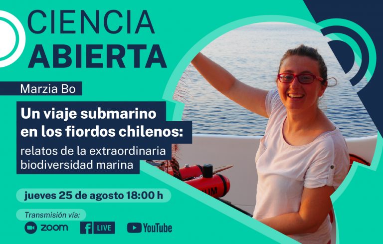 Charla: “Un viaje submarino en los fiordos chilenos: relatos de la extraordinaria biodiversidad marina”