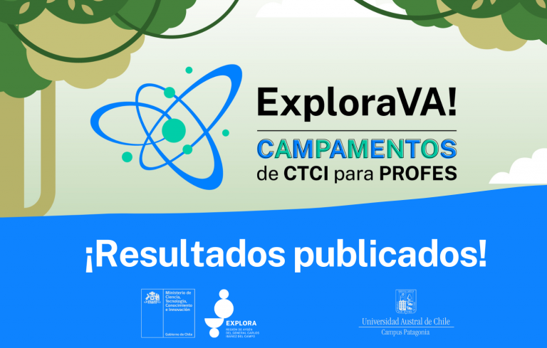 Resultados Postulaciones CampamentoVa!2022