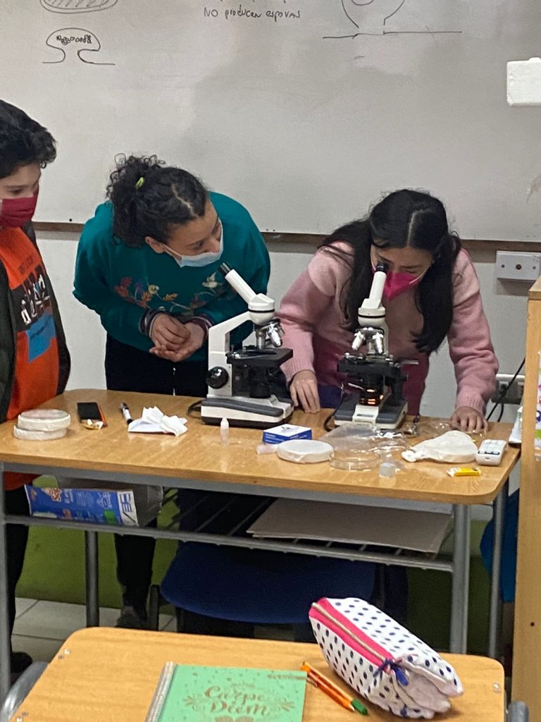 Estudiantes de Aysén crean innovadores proyectos con foco en la región