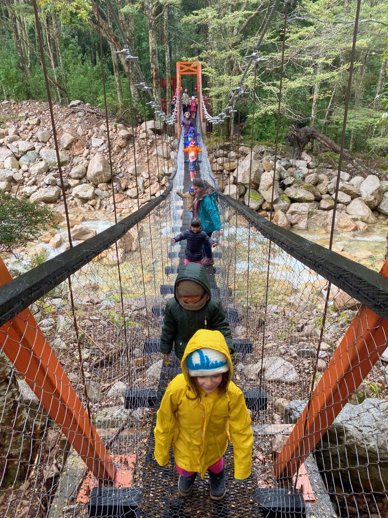 Niñas y niños de Aysén descubren flora y fauna nativa en aulas al aire libre