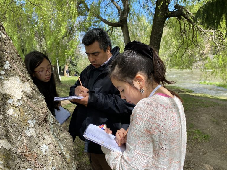 IIE Aysén 2024: Inicia convocatoria del Programa de Investigación e Innovación Escolar 