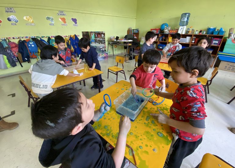 Ciencia e indagación en Educación Parvularia: Conoce los resultados de la convocatoria PIPE Aysén 2024
