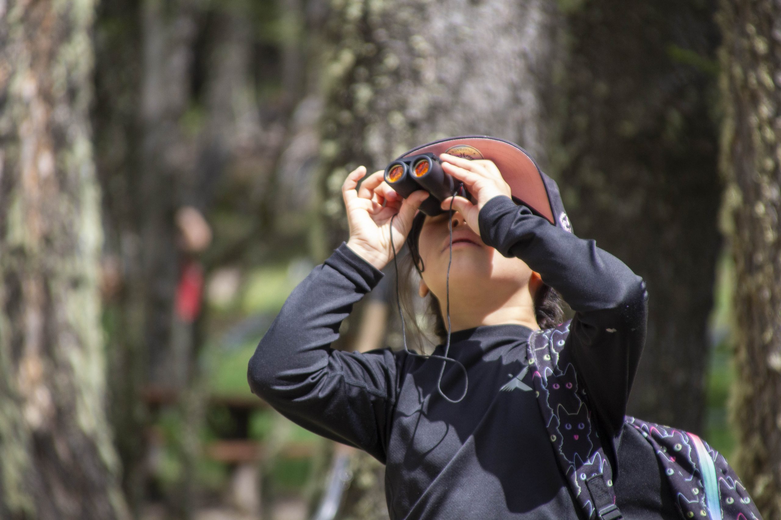 Estudiantes de la región inician salidas que convierten parques nacionales en laboratorios de aprendizaje