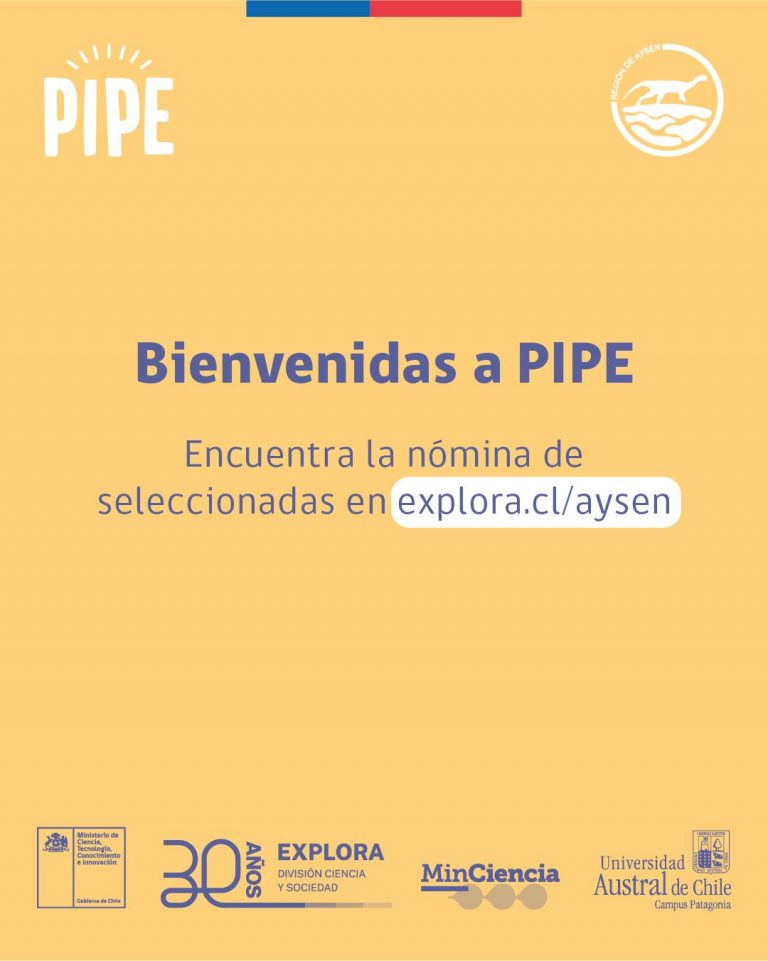 Resultados Convocatoria PIPE 2026