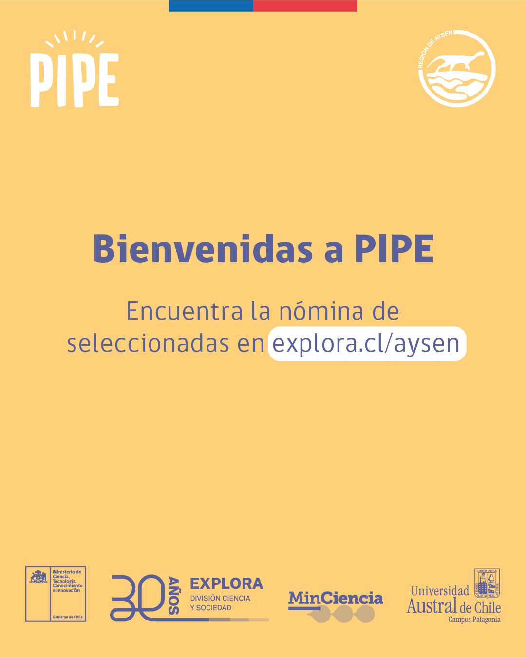 Resultados Convocatoria PIPE 2026