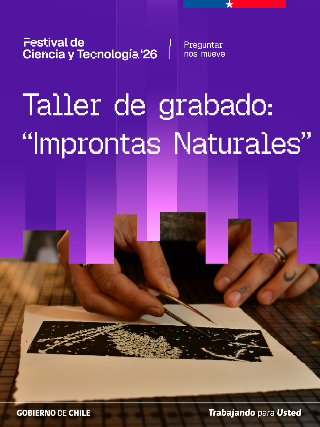 Explora Aysén abre inscripciones para talleres de grabado con flora regional