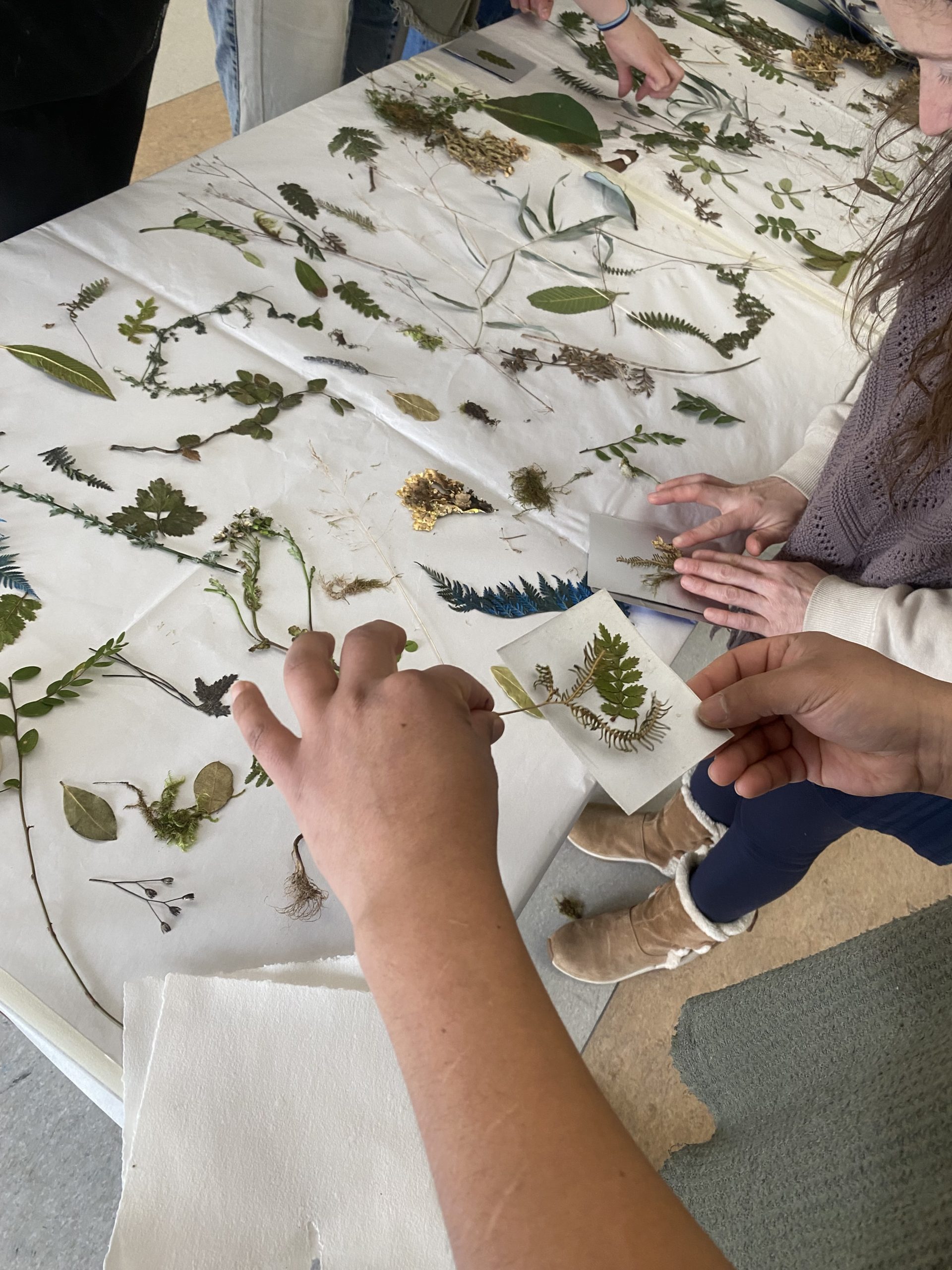 Taller de grabado exploró la flora de Aysén en el Festival de Ciencia y Tecnología 2026